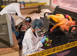 ba-hons-psychology-krmu