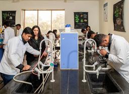 ba-hons-psychology-krmu