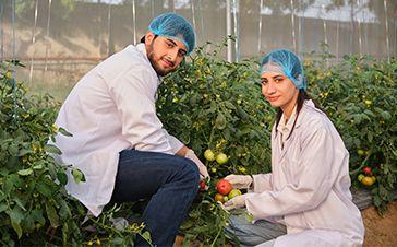 https://truthful-cabbage-82fd27e8f6.media.strapiapp.com/B_Sc_Hons_Agriculture_2a5b24069c.jpg