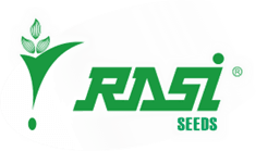 Rasi Seeds recruiter