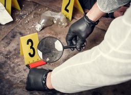 ba-hons-psychology-krmu