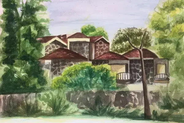 Immersive Outdoor Studio Experience