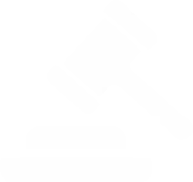 Litigator / Advocate