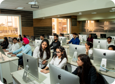 Premium Digital Resources