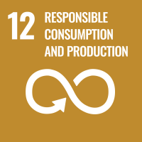 SDG 12 Consumption