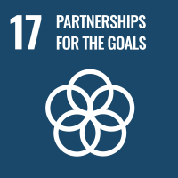 SDG 17 Partnerships