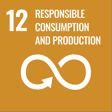 SDG 12 Consumption