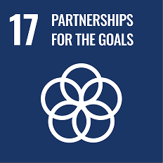 SDG 17 Partnerships